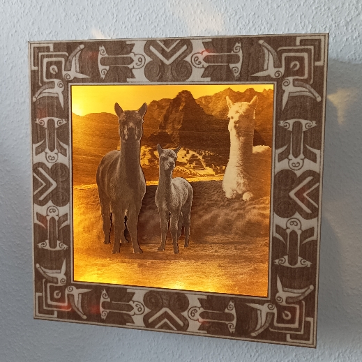 Modell Lichterbild_Alpaka_01